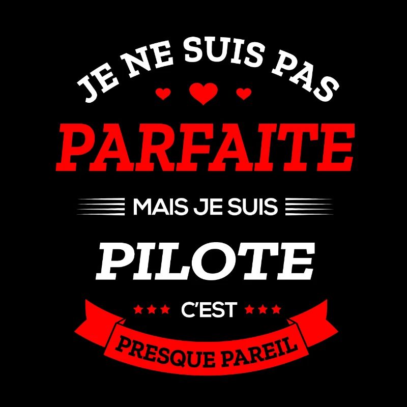 PILOTE PARFAITE