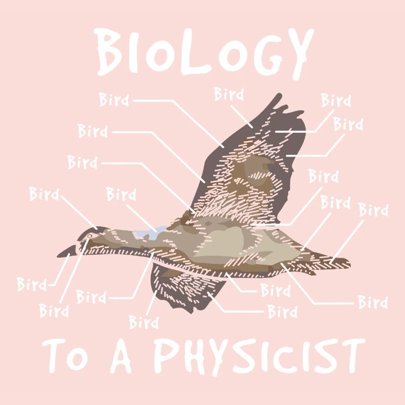 Physics expert