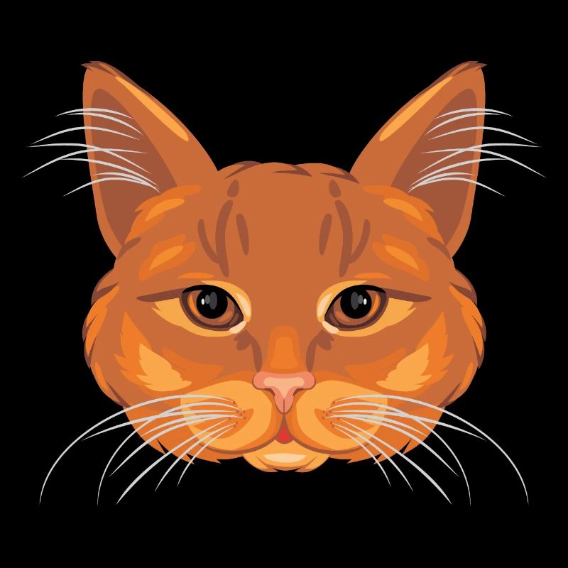 Tête de chat au gingembre
