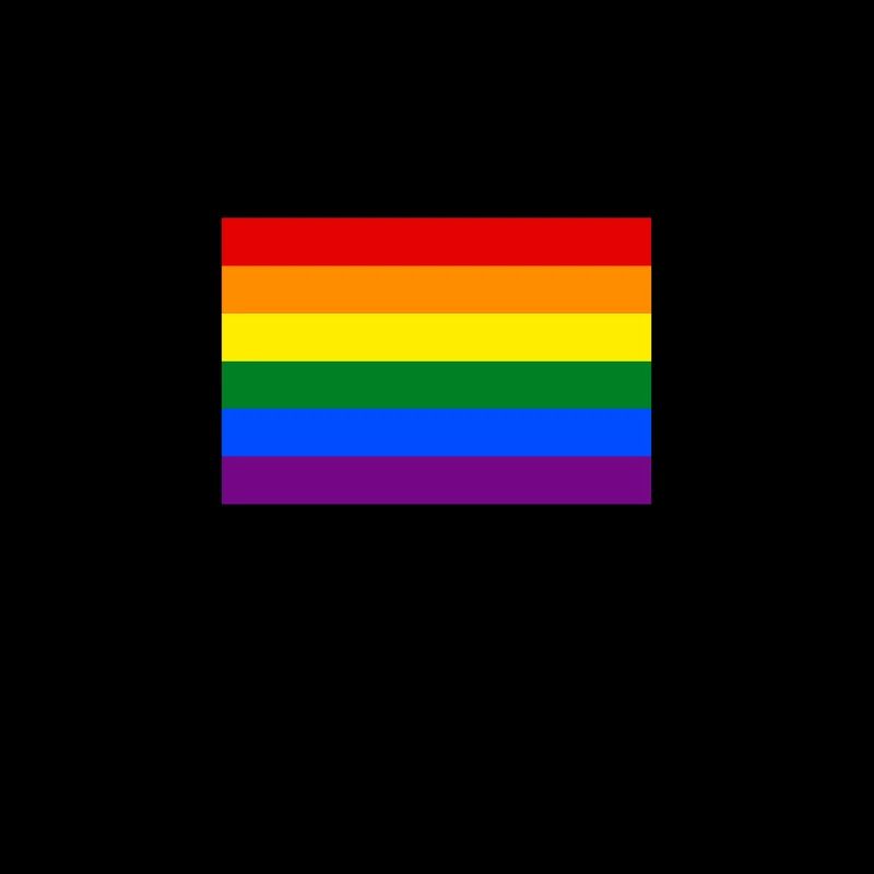 Drapeau arc en ciel bannière CSD LGBT tolérance colorée