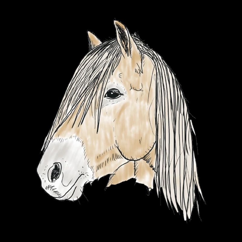 haflinger