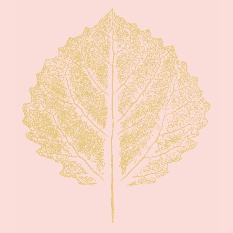 Birch Leaf - Birch Leaf - Nature & Botany