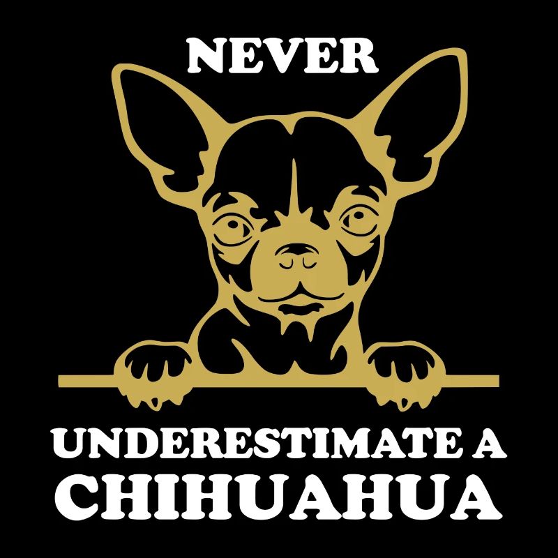 Never underestimate a Chihuahua