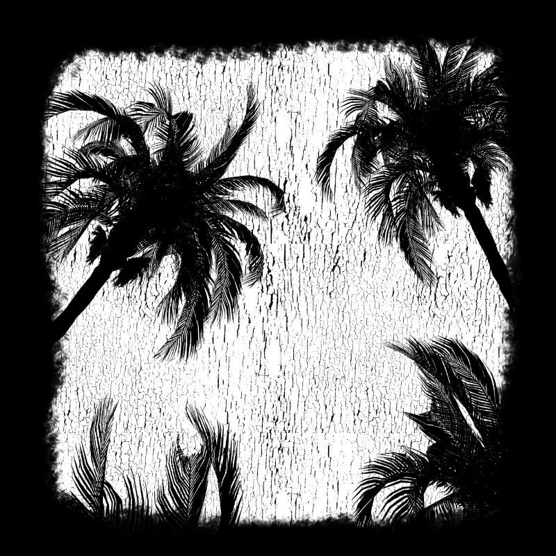 Palm Palm Trees Sunset Beach Retro