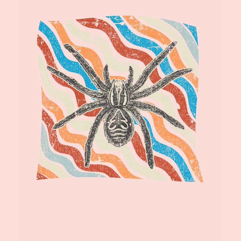araignée