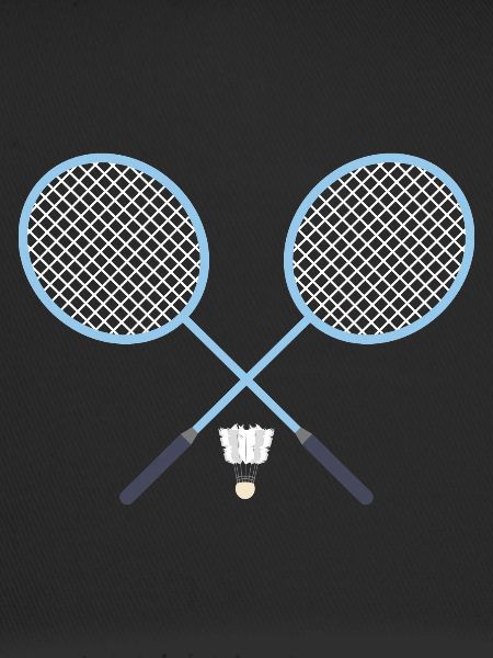 Federball Badminton Badmintonschläger
