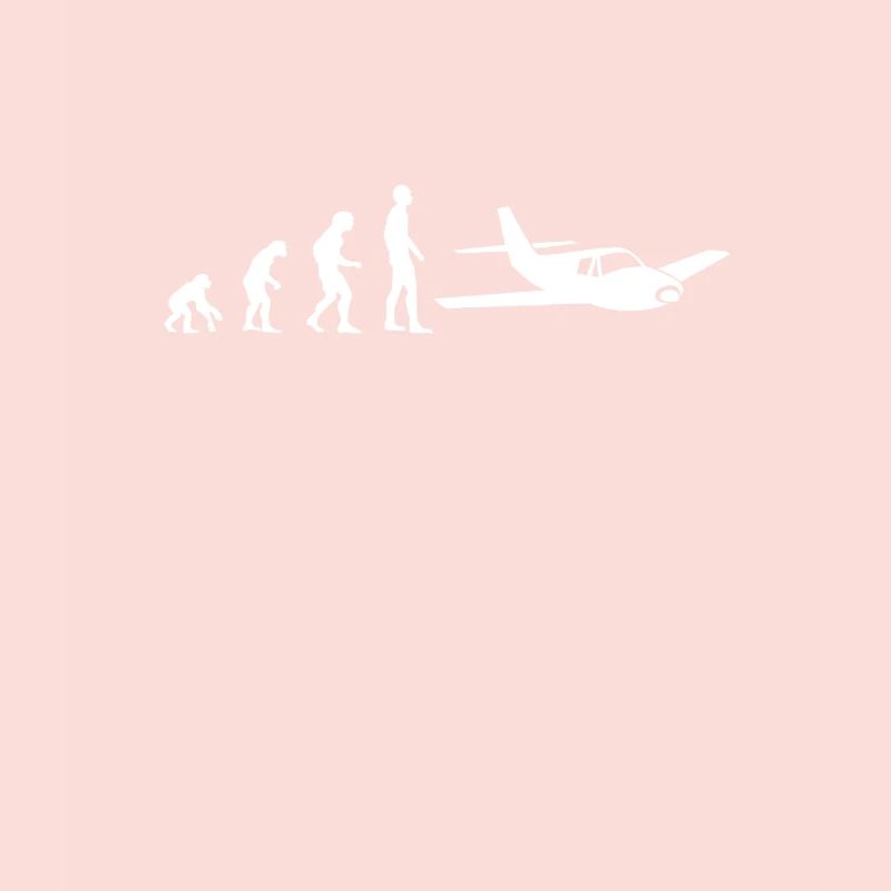 avion pilote evolution