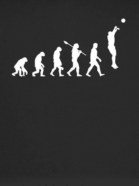 Basketball evolution