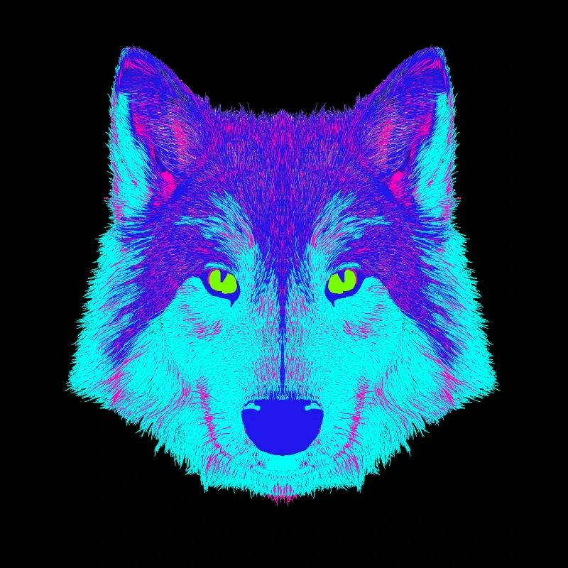 Wolf EDM