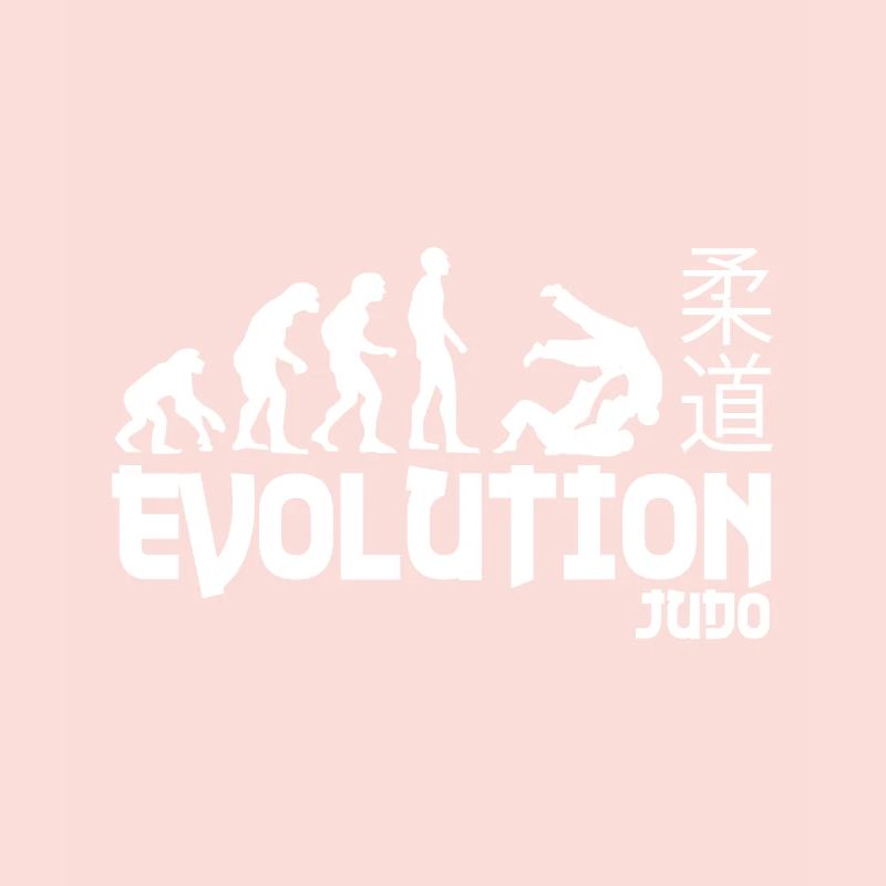 Judo Evolution cadeau ceinture