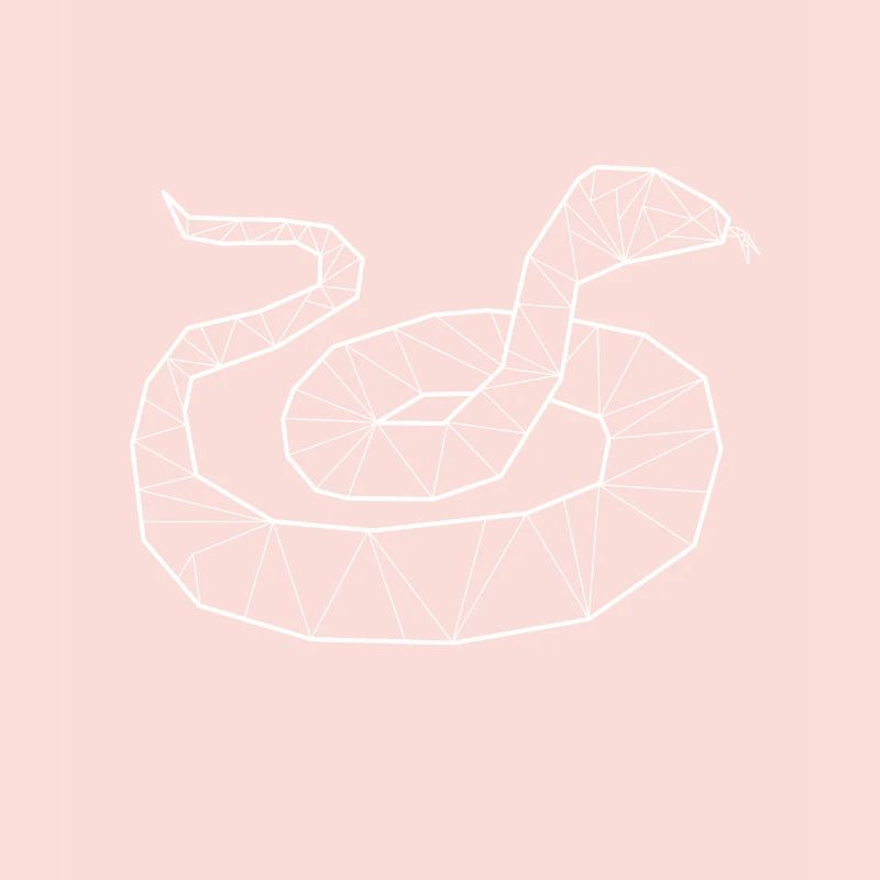 Python geometrische
