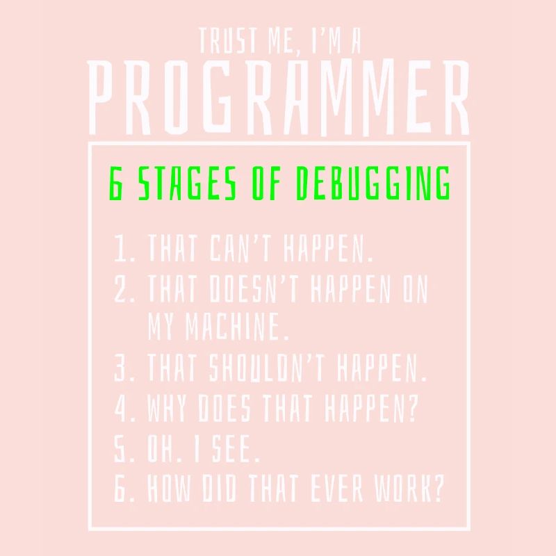 Debugging stages computer programmer