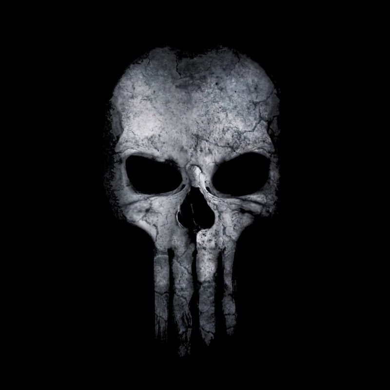 Skull Skull Bone Mask Cool Dead Gift