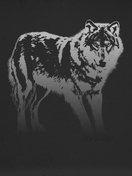 Wolf in Silber