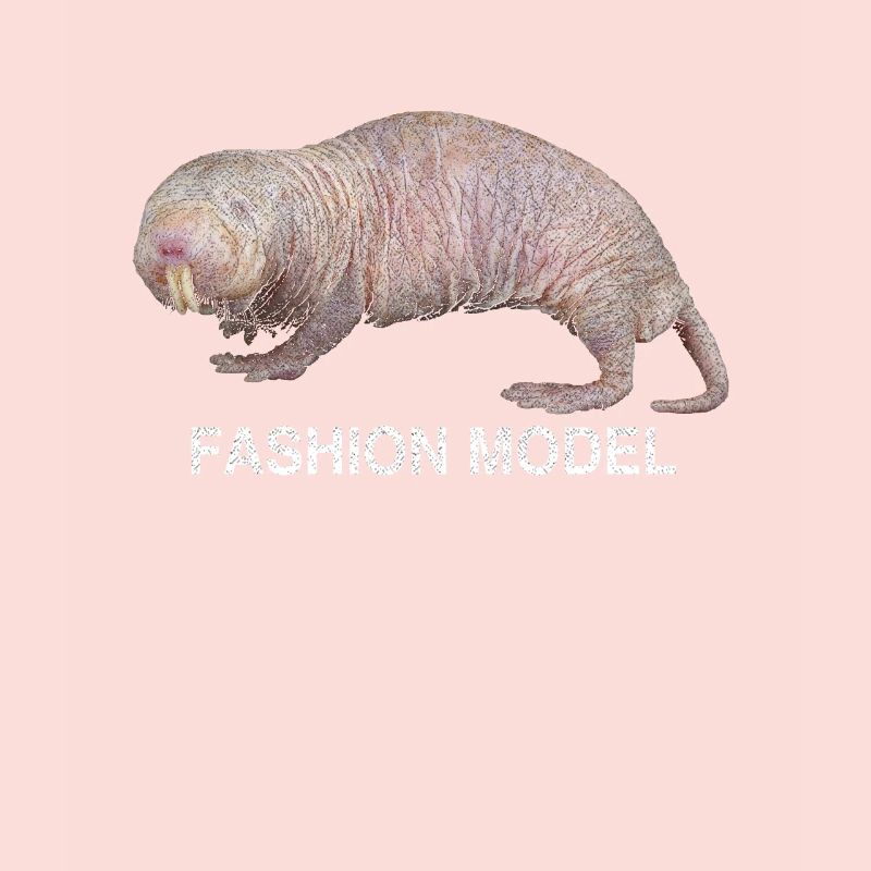 Animal nude mole mole