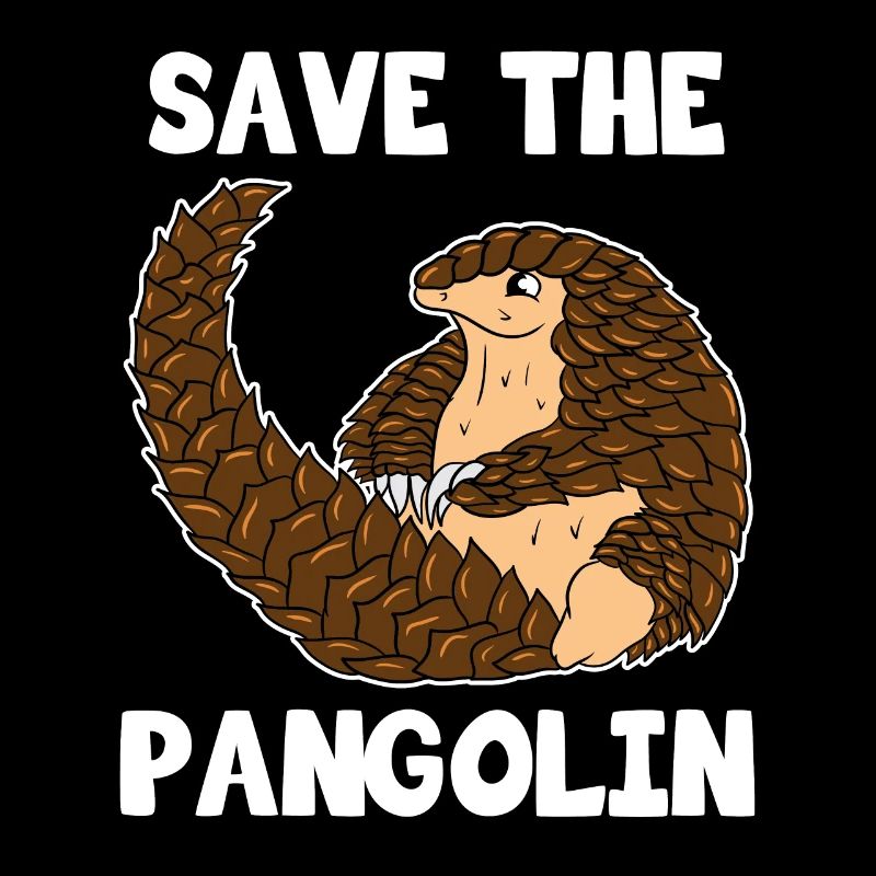 Pangolin Pangolin Retrieving Rare Animal Gift