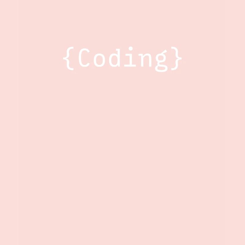 Programmer