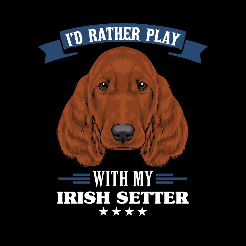 Irish setter