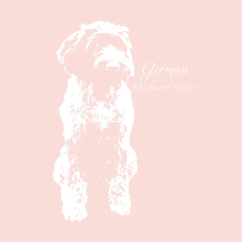 German Wirehaired Pointer