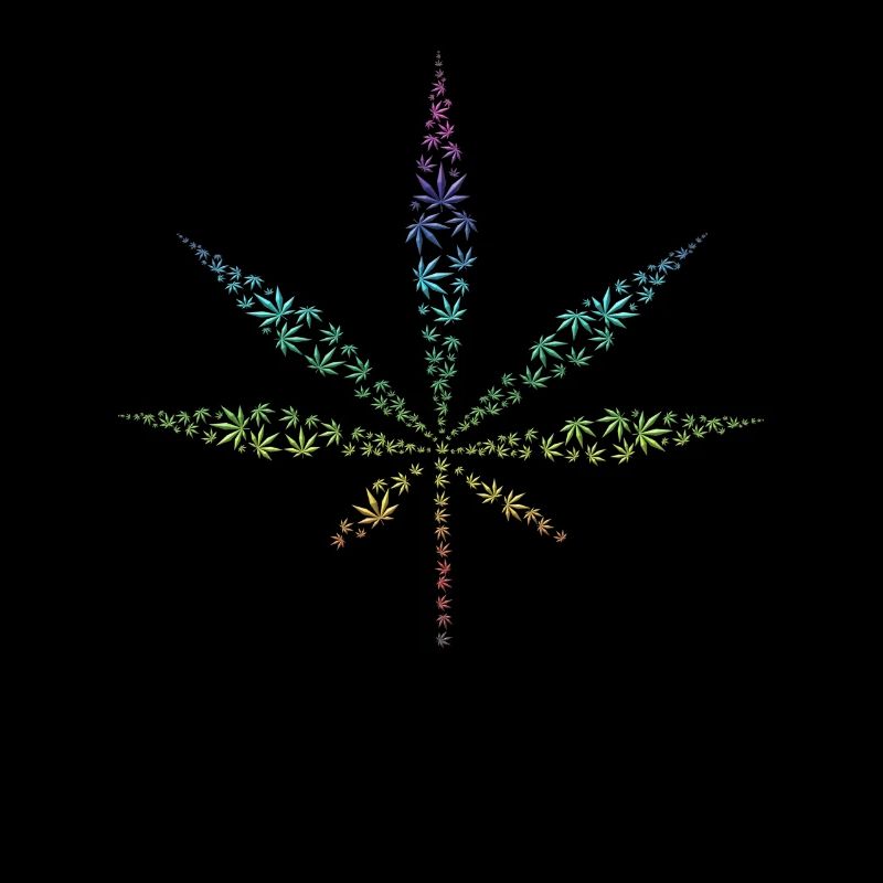 Cannabis Hanf