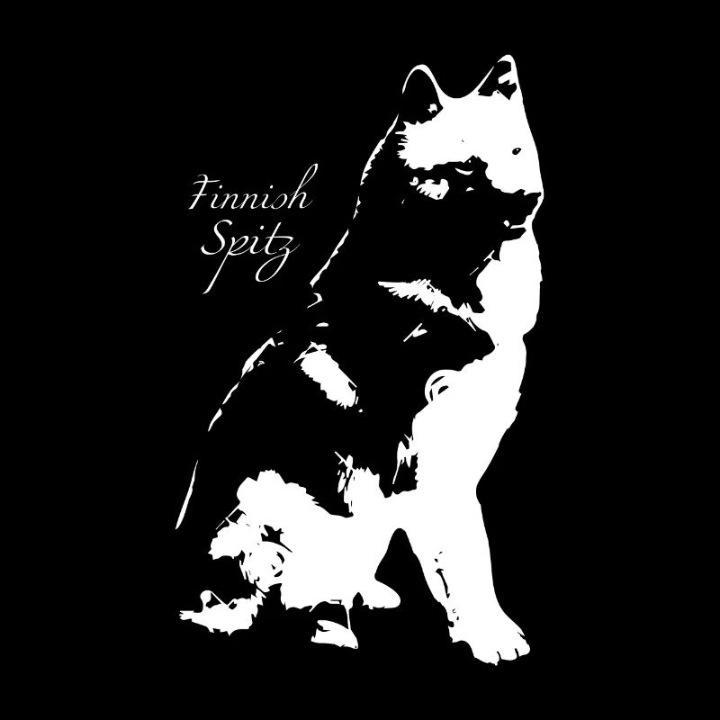 Spitz finlandais
