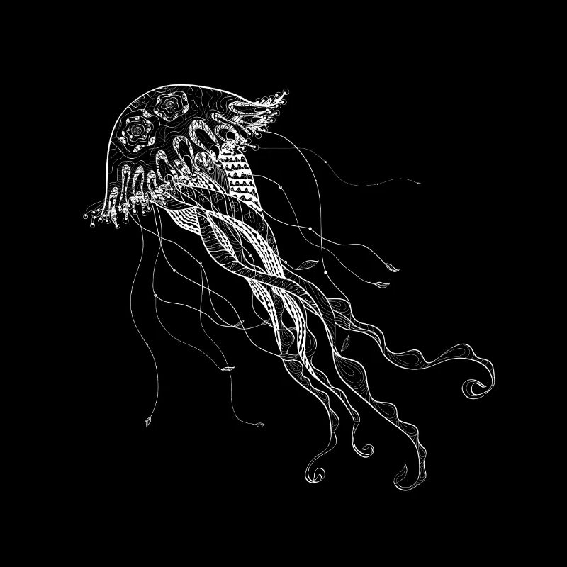 Jellyfish