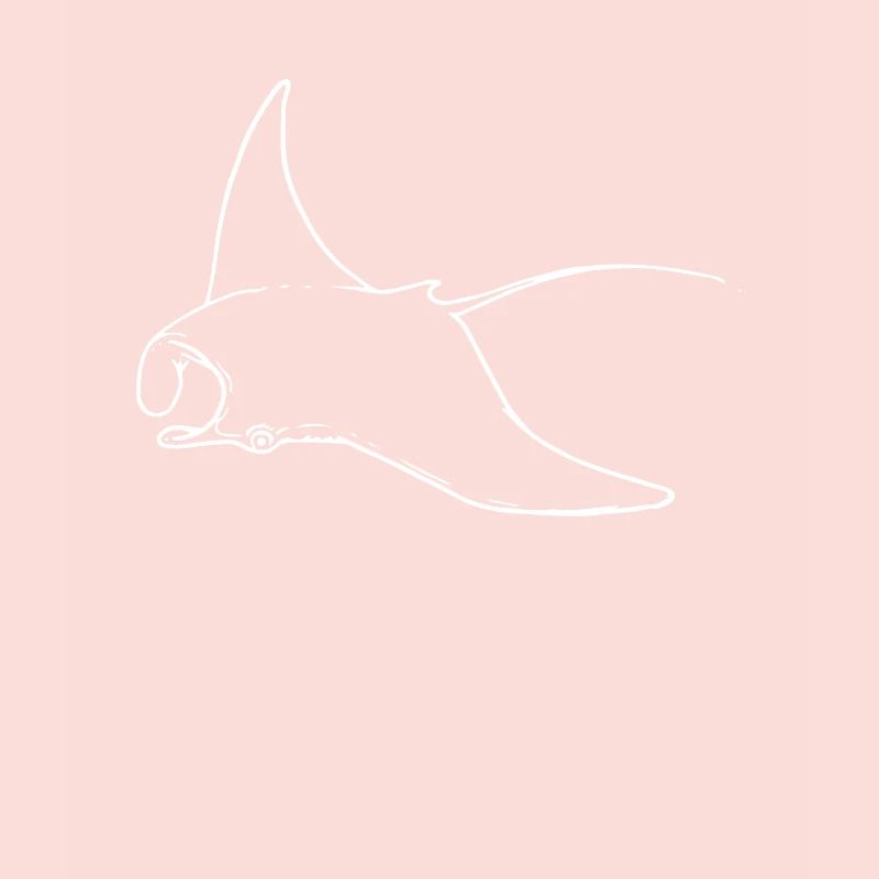 Rochen Manta