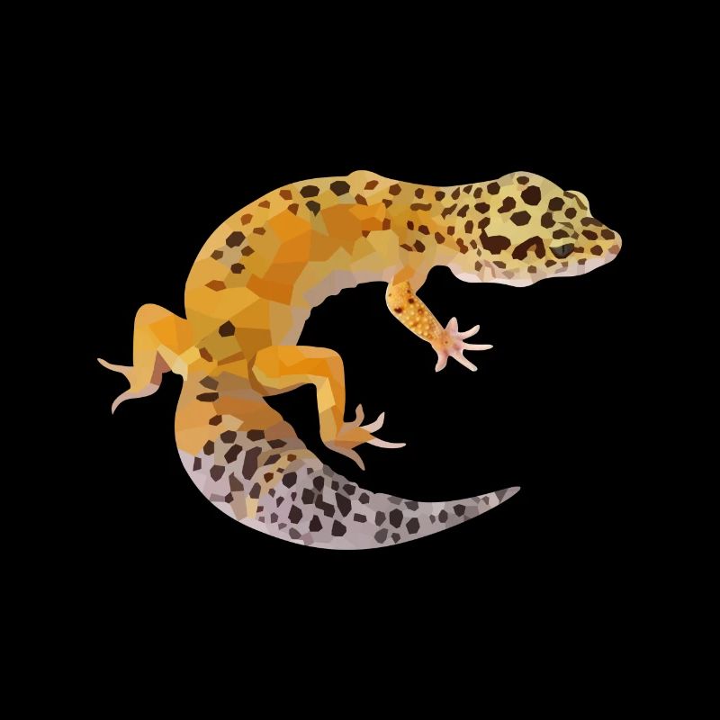 Gecko gift