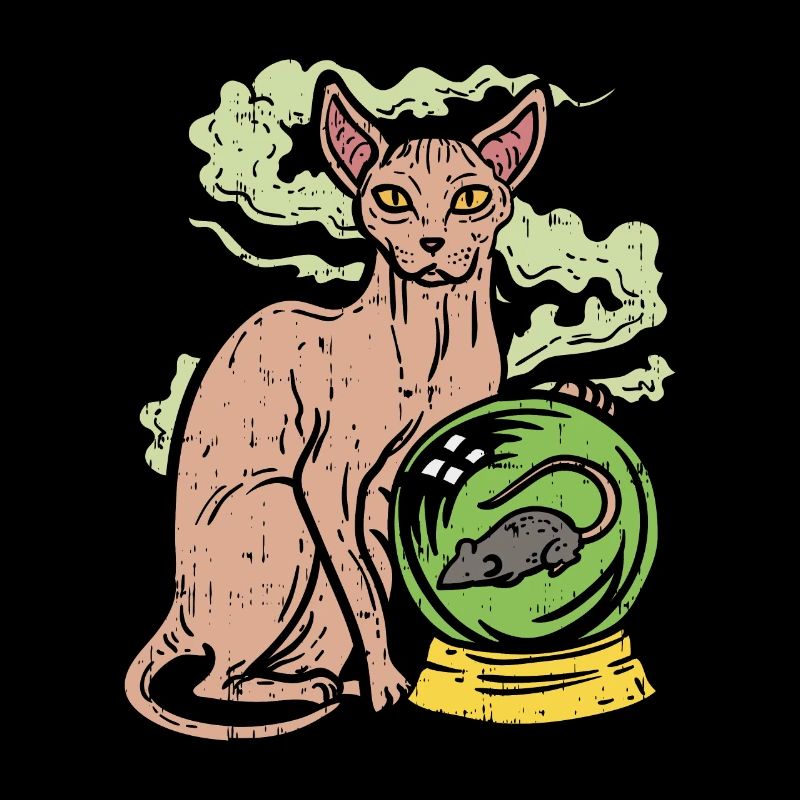 Sphinx Katze mit Kristallkugel I Nacktkatze