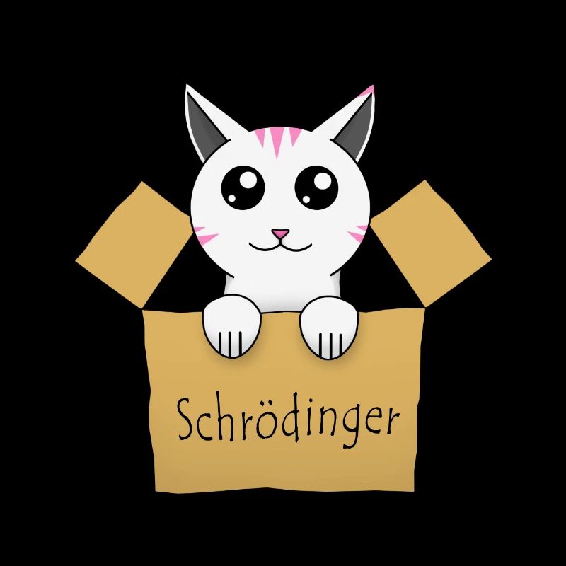 Le chat de Schrödinger dans une boîte
