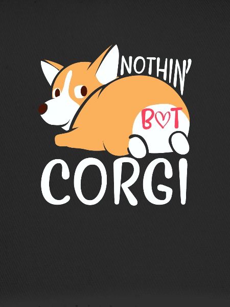 Corgi