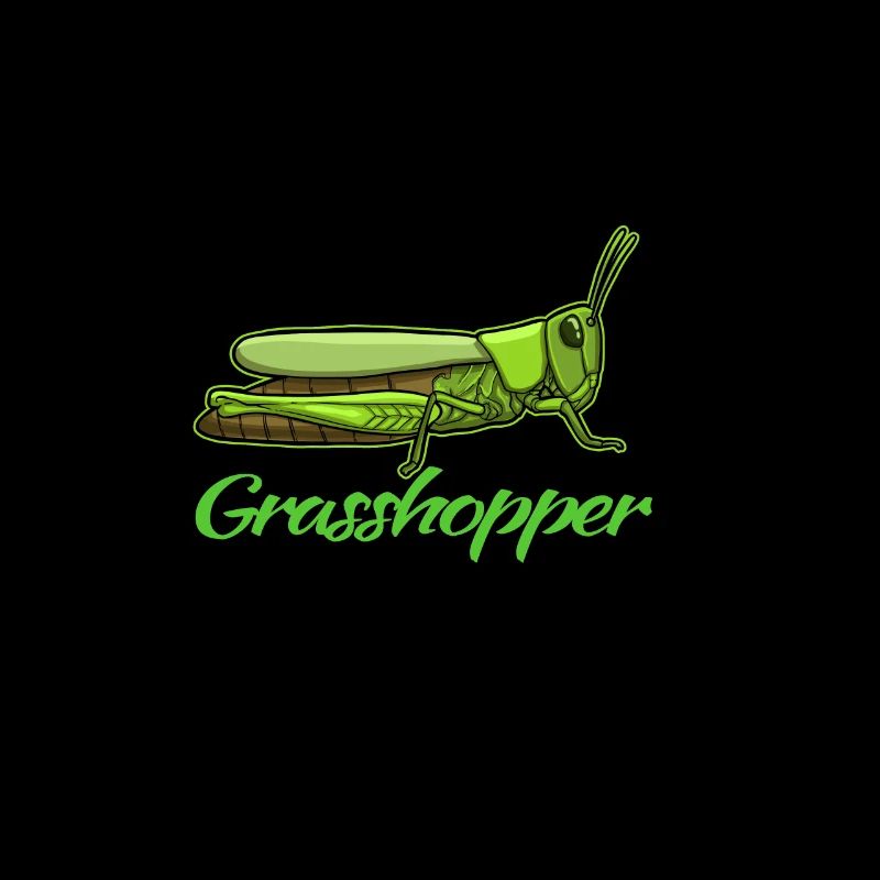 Grasshopper grasshopper animal gift