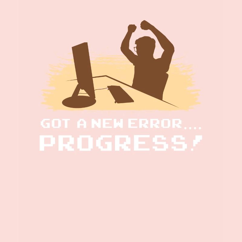 Computer scientist program software development process