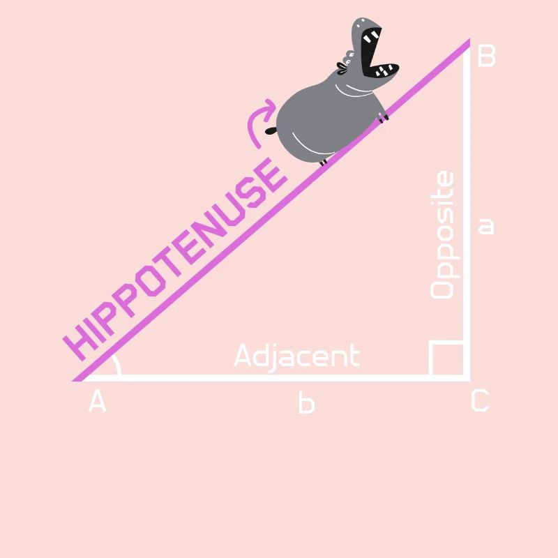 Idée de conception de cadeau de plaisanterie drôle de nerd Hippotenuse
