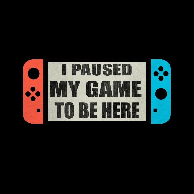 Switch Joy I Paused My Game
