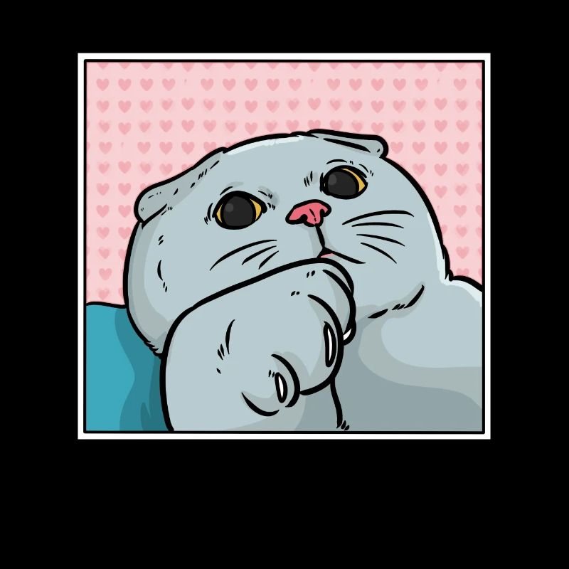 Foldex cat
