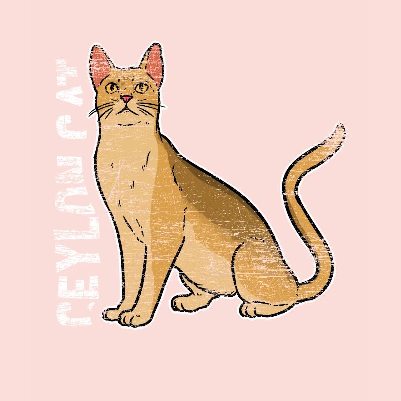 Cadeau de chat de Ceylan
