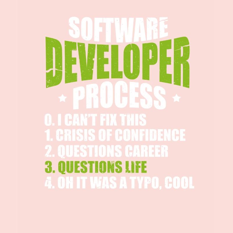 Software developer programmer software