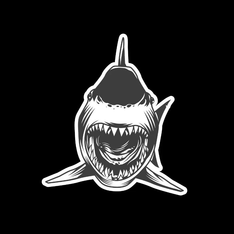 Shark shark