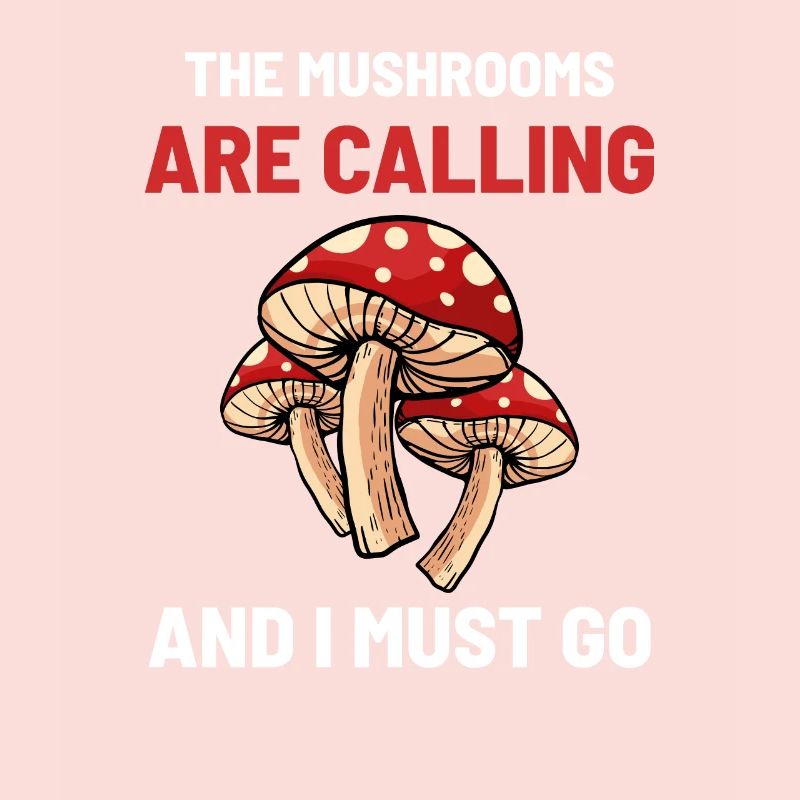 Champignons champignons observateurs