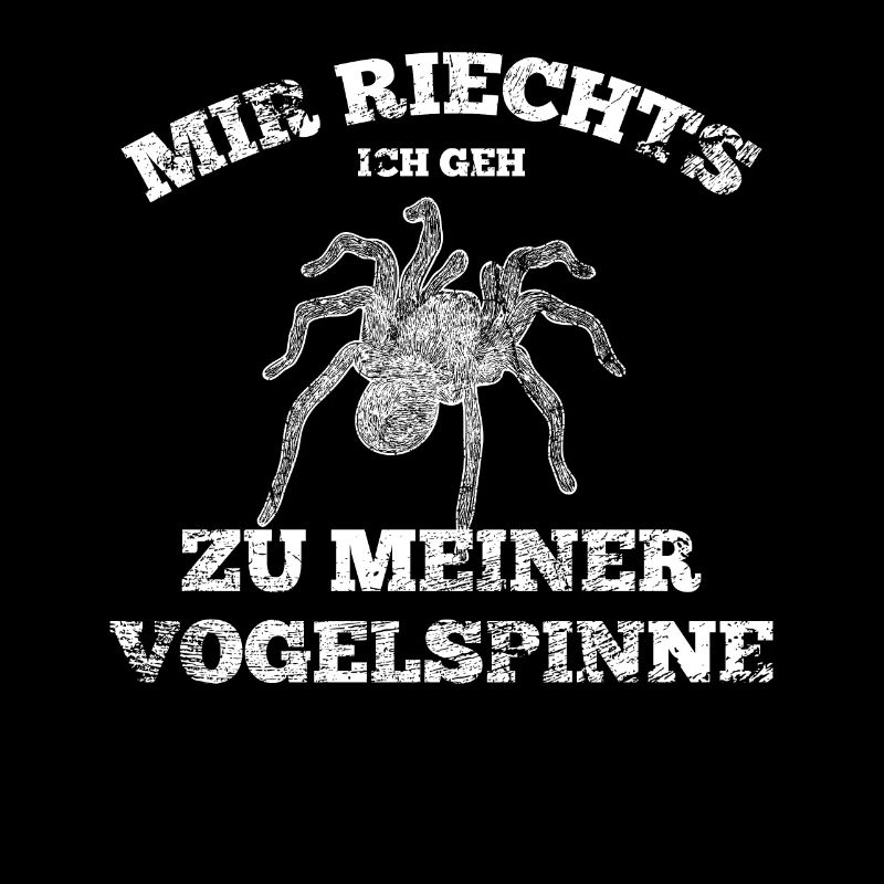 Spinne