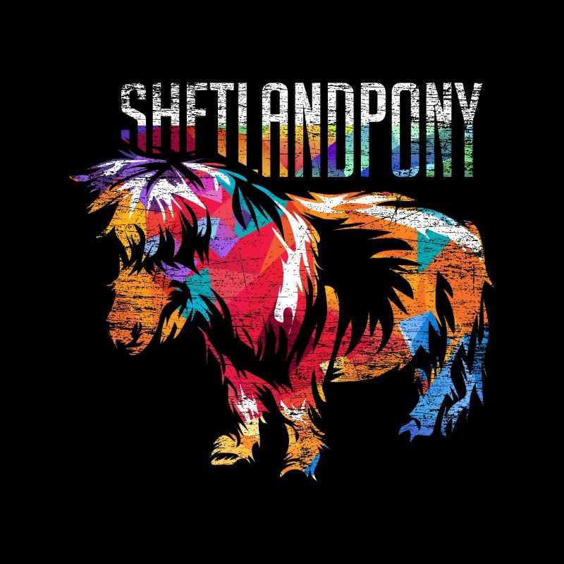 Shetland pony