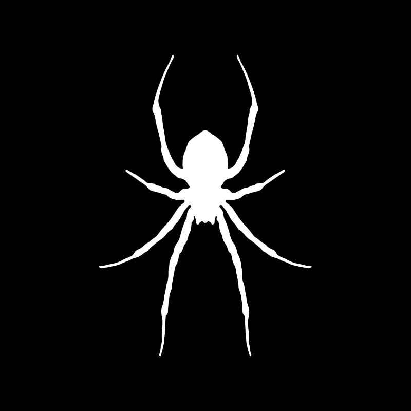 Spinne