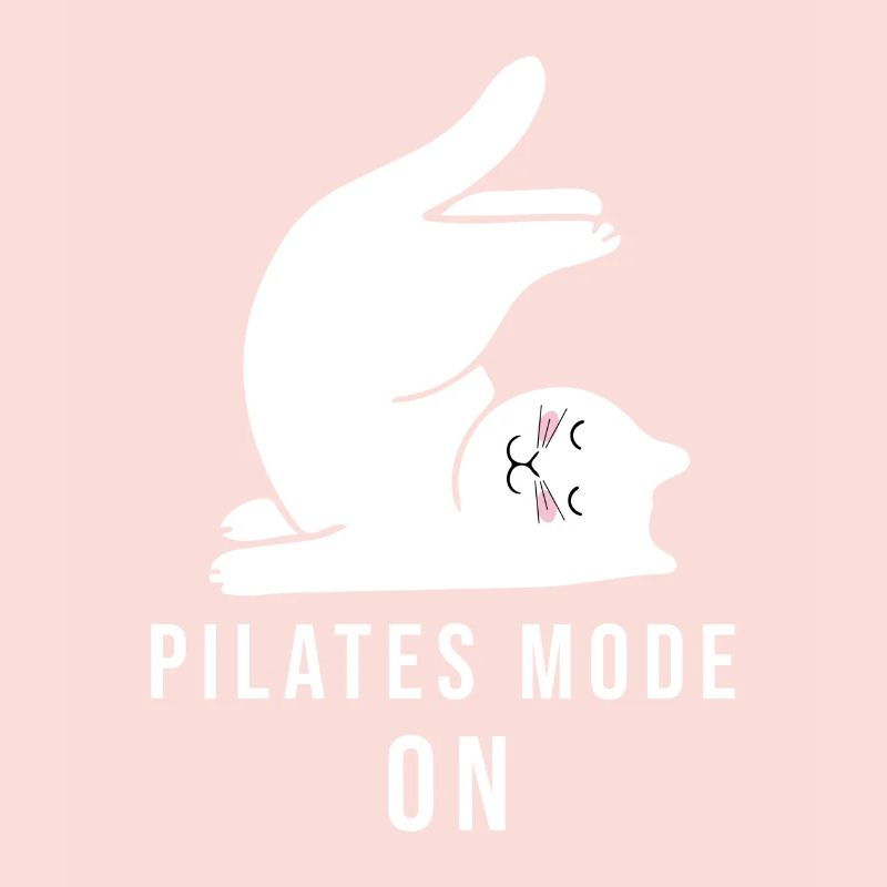 Pilates Modus Ein