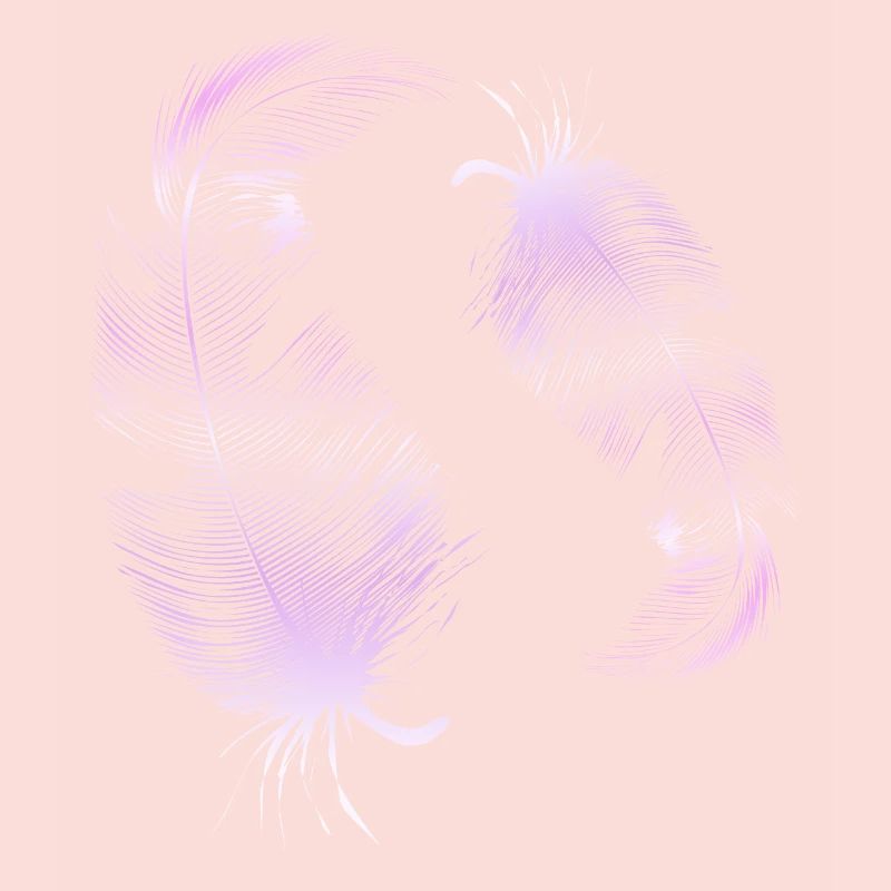 2 pink feathers