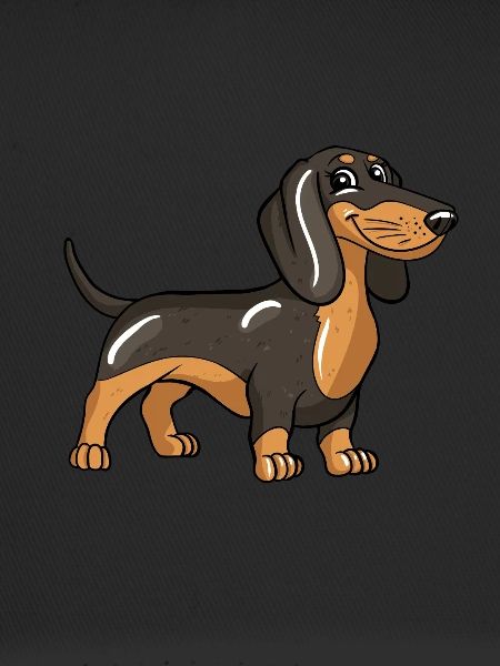Chien teckel
