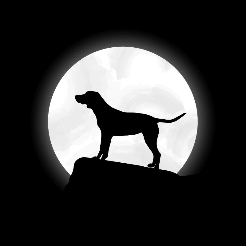 Labrador Retriever Hund Hunde Geburtstag Geschenk