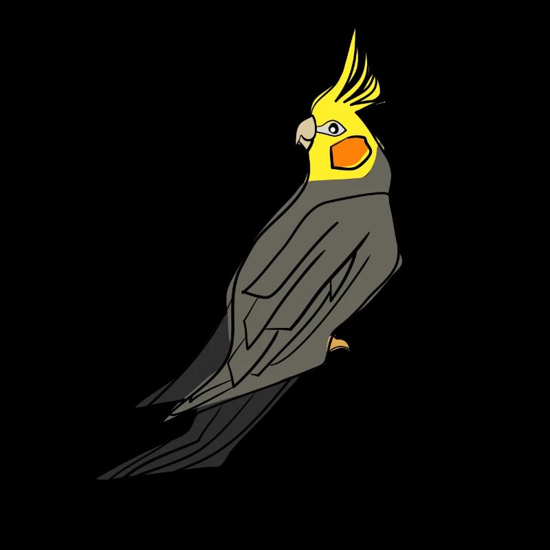 Oiseau calopsitte drôle