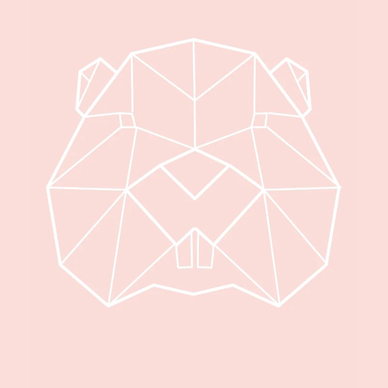 Beaver polygon