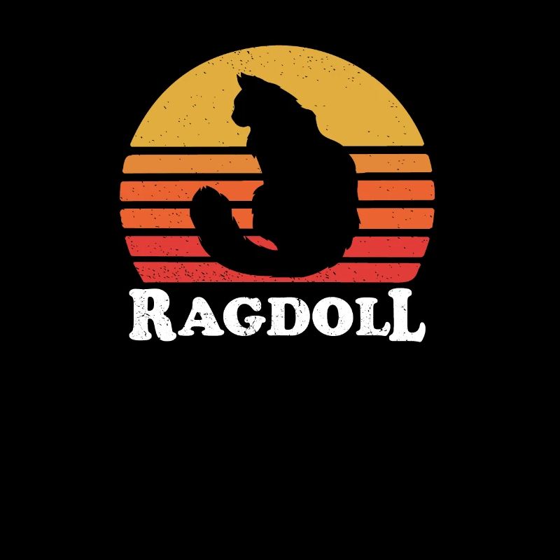 ragdoll cat